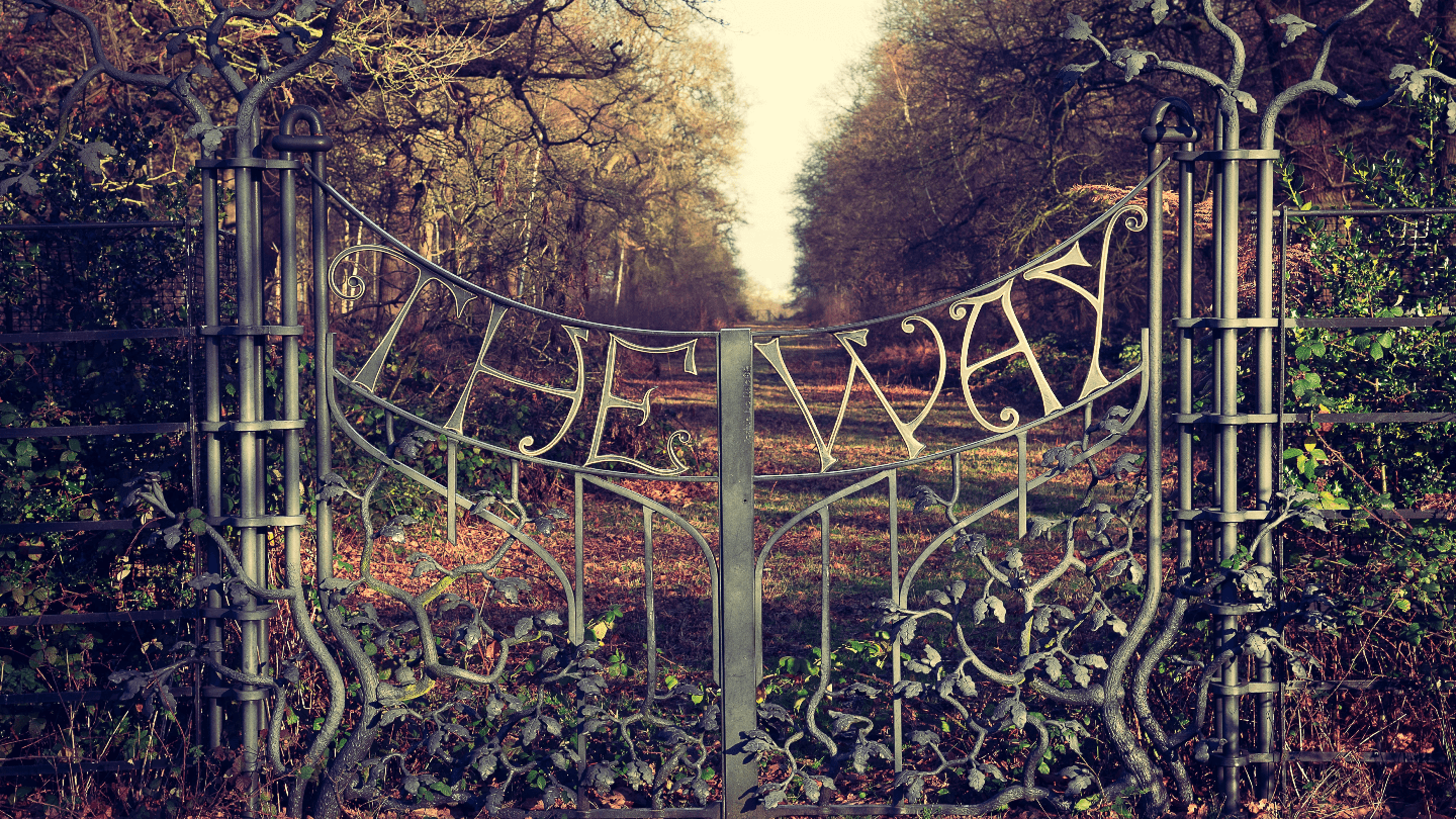 The Essential Handbook for Gate Crashing Like a Boss