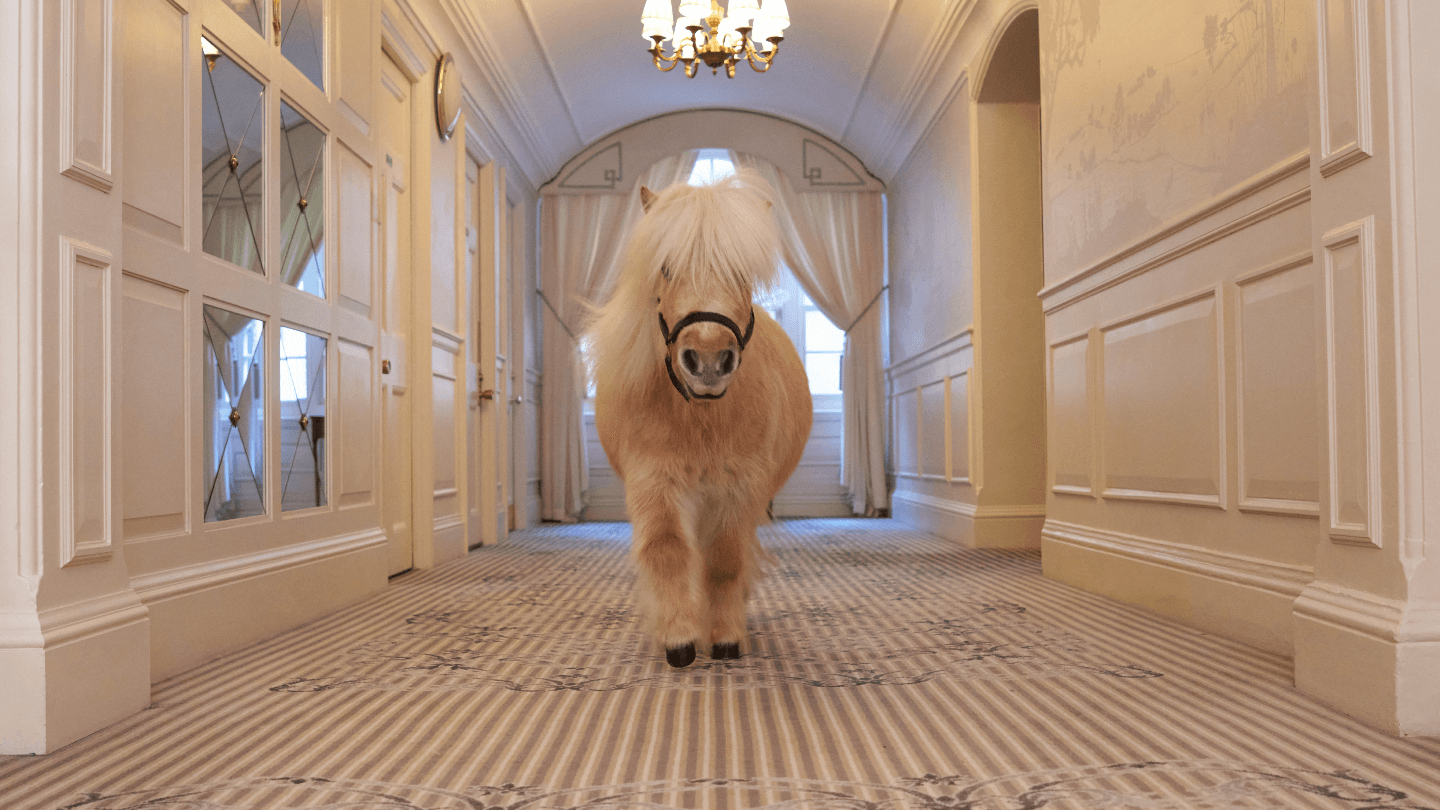 The Goring's VIP Residence This August 