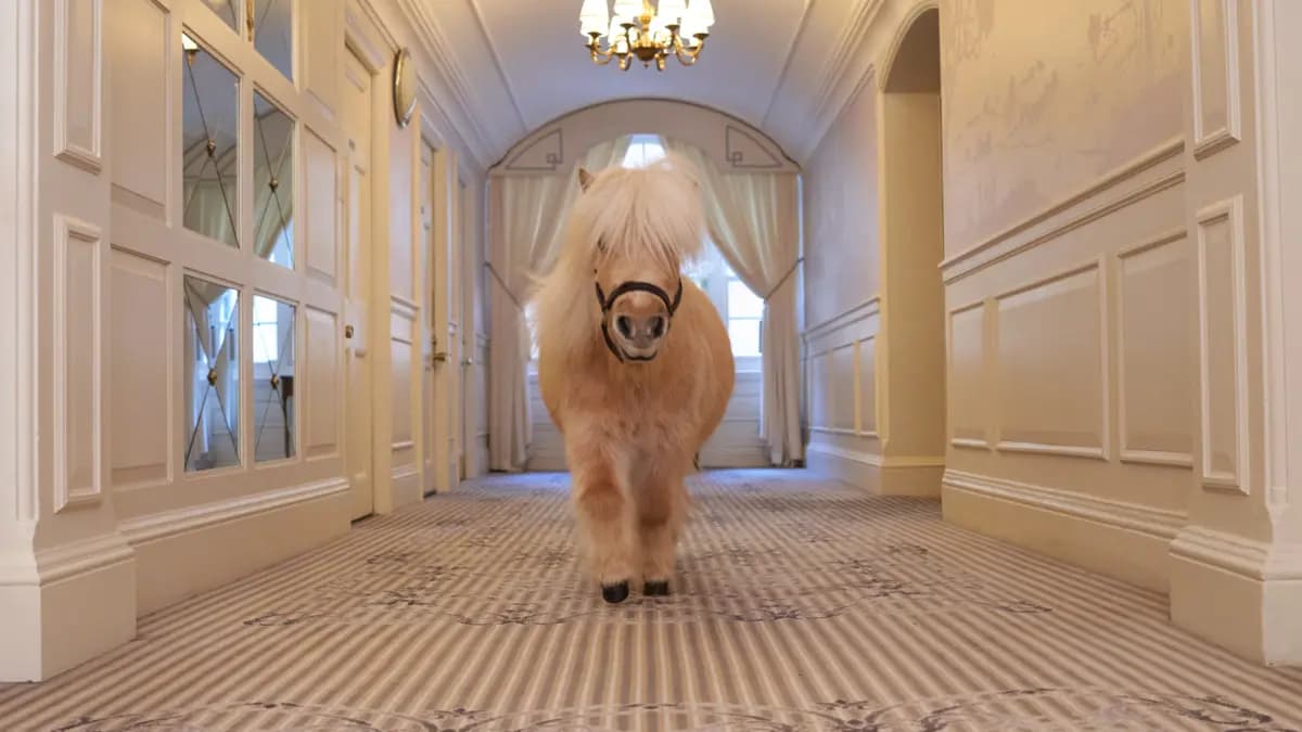The Goring's VIP Residence This August 