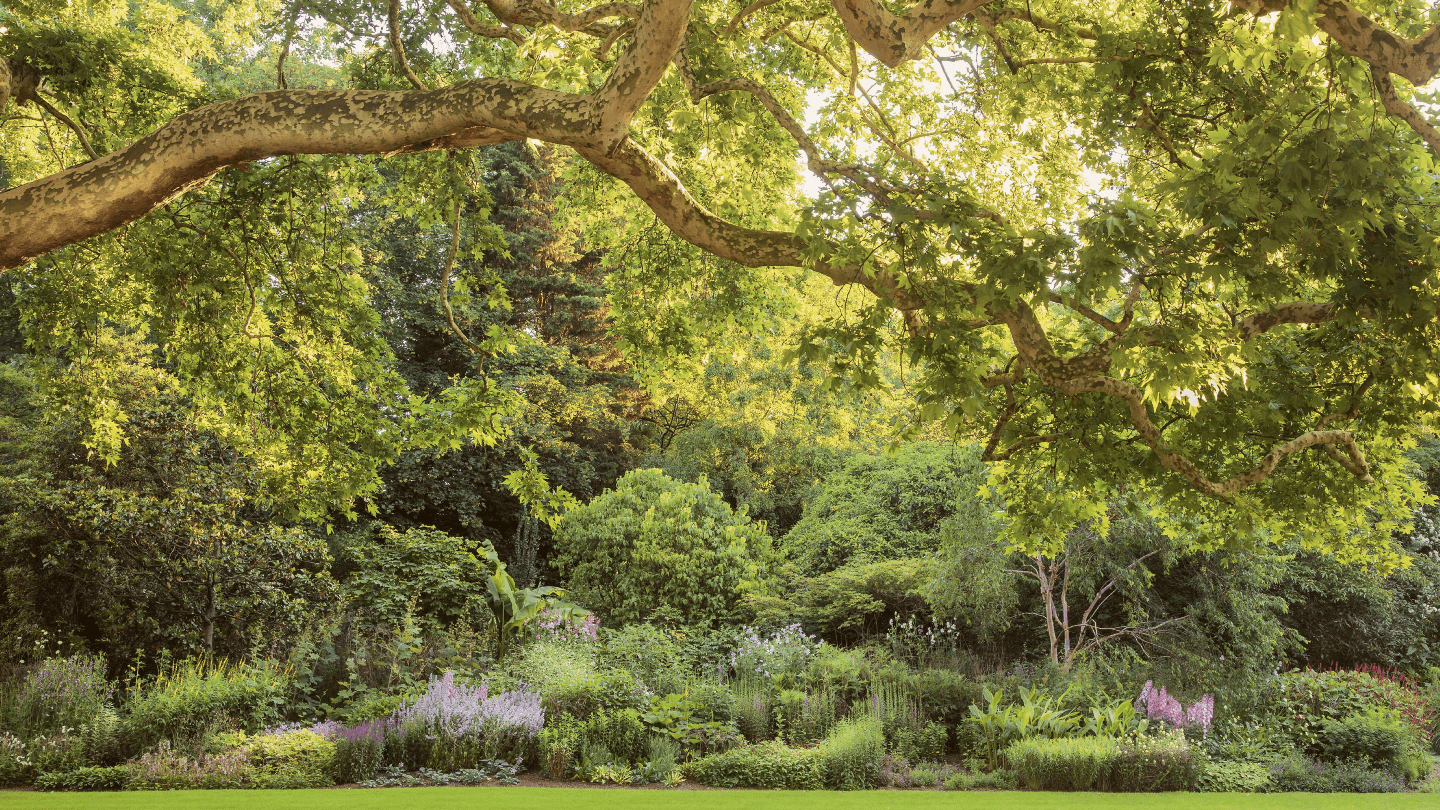 This Year You Can Picnic at Buckingham Palace 