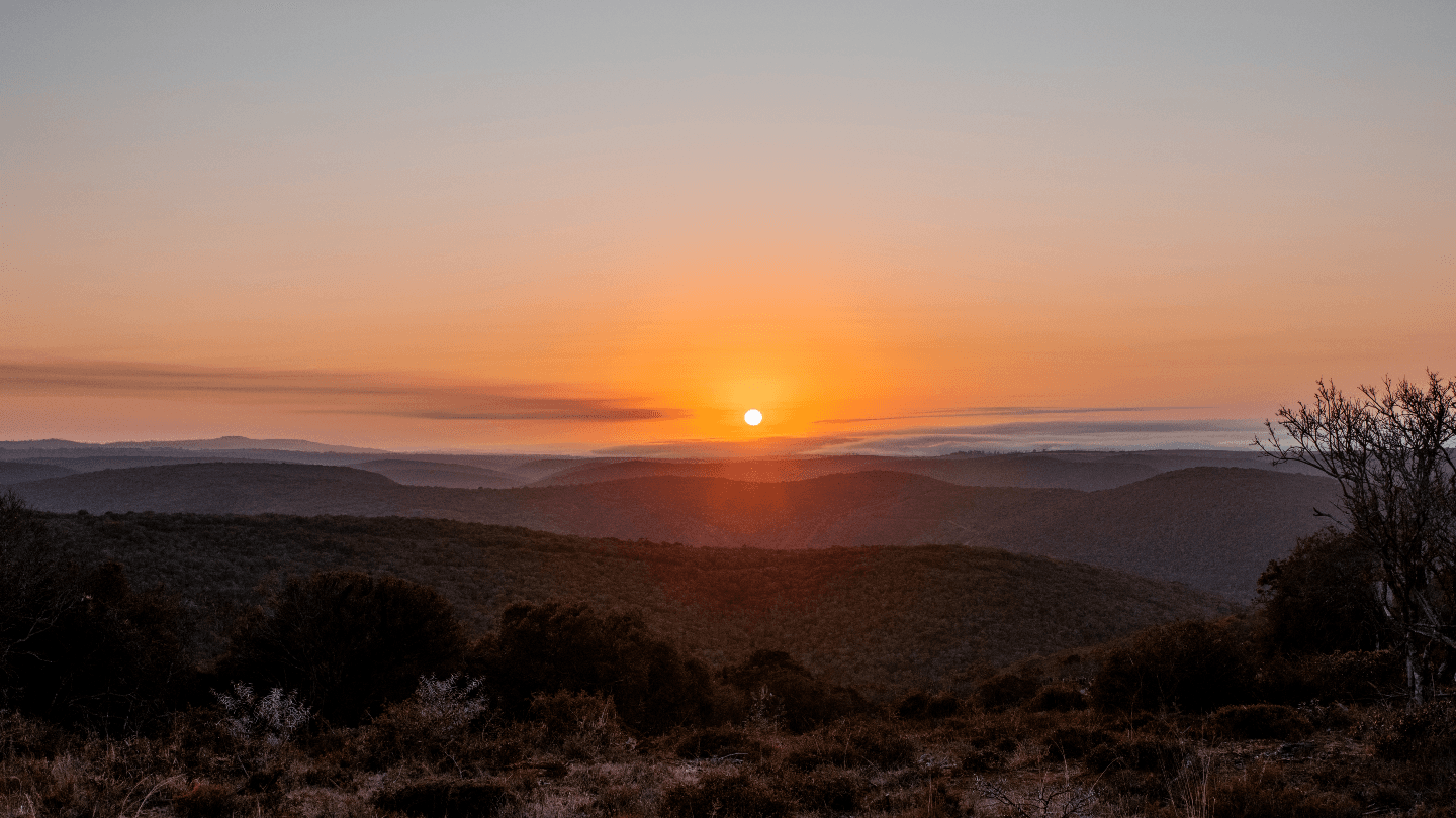 The Orion Experience: South Africa’s Most Luxurious Safari