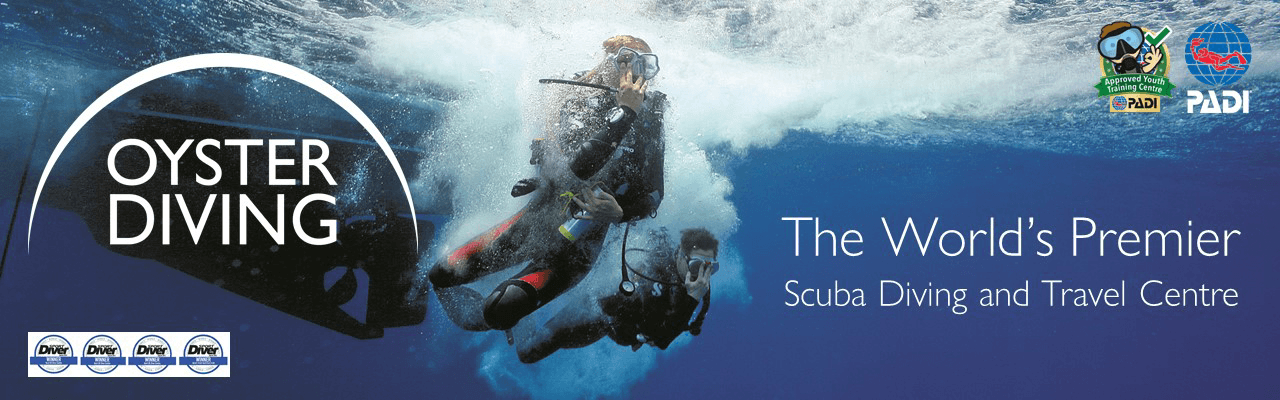 Oyster Diving | Instructor