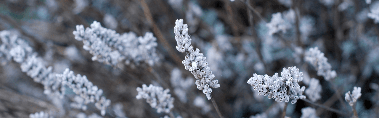 Bharti Vyas | Beauty Salon