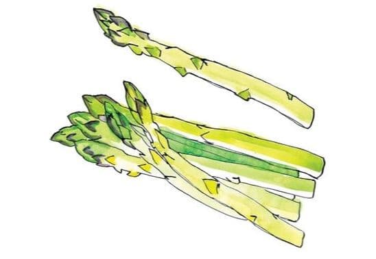 Clean Slate Catering