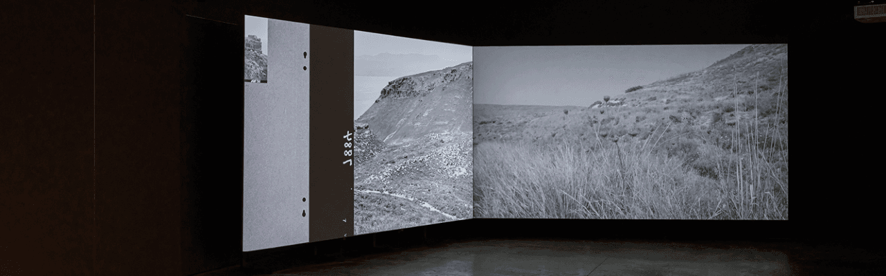 Goodman Gallery | Contemporary South African Art