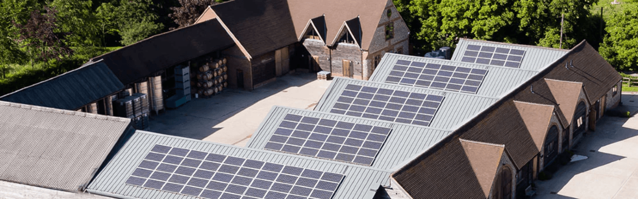 Hattingley Valley Wines | Vineyard