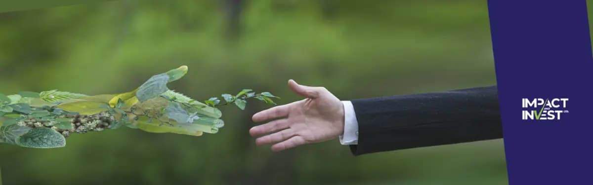 Impact and Invest | Investment Company 