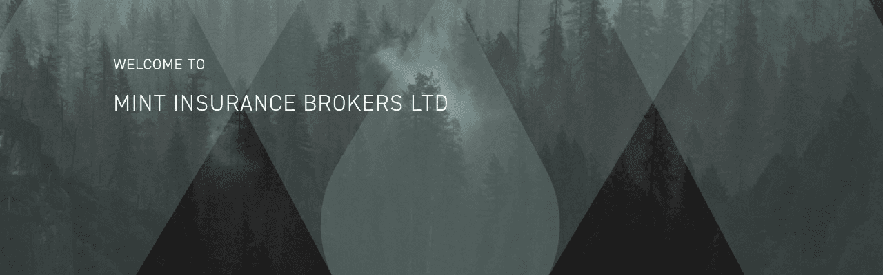 Mint Insurance Brokers