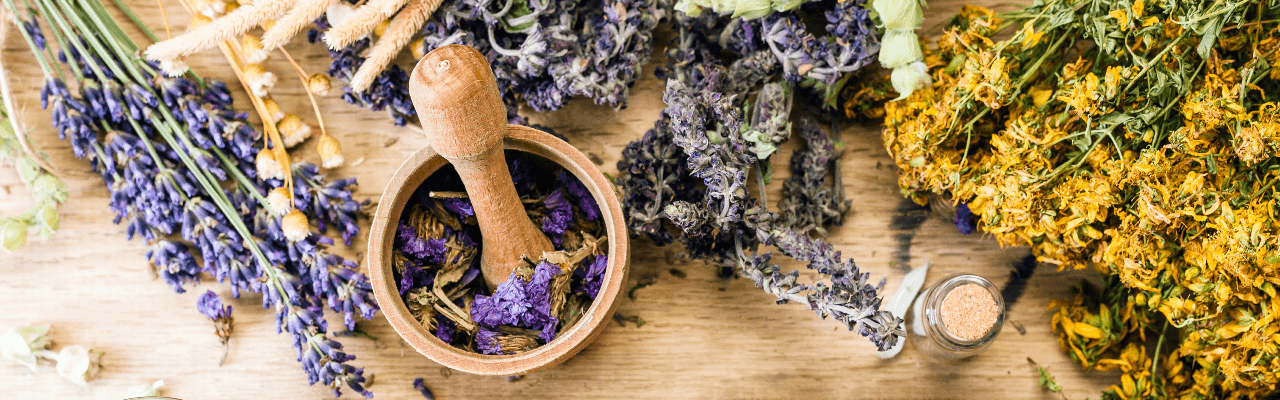 Nelsons Homeopathic Pharmacy