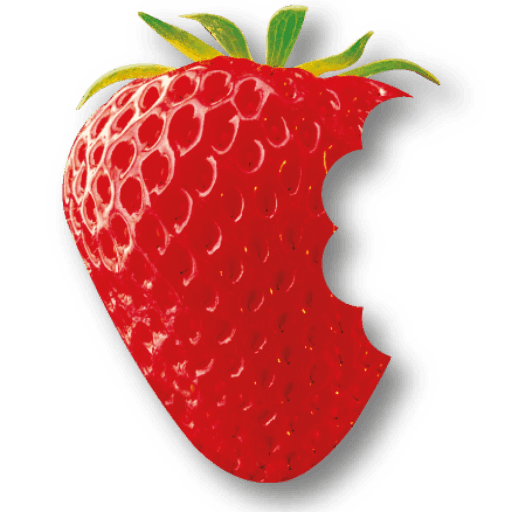 Strawberry Fields Nursery