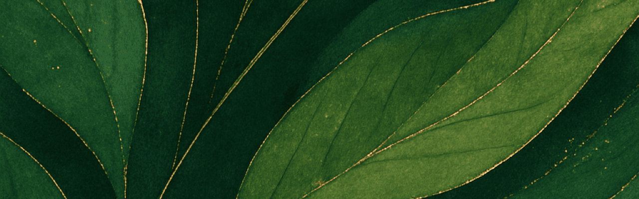 Exteriors & Outdoor Living