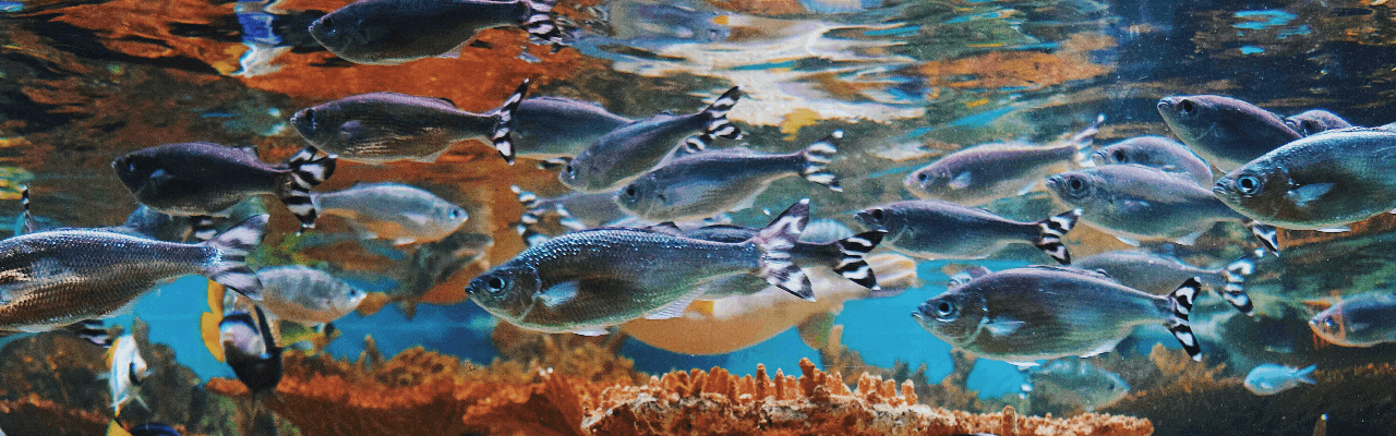 Based on a True Story | Travel Agency