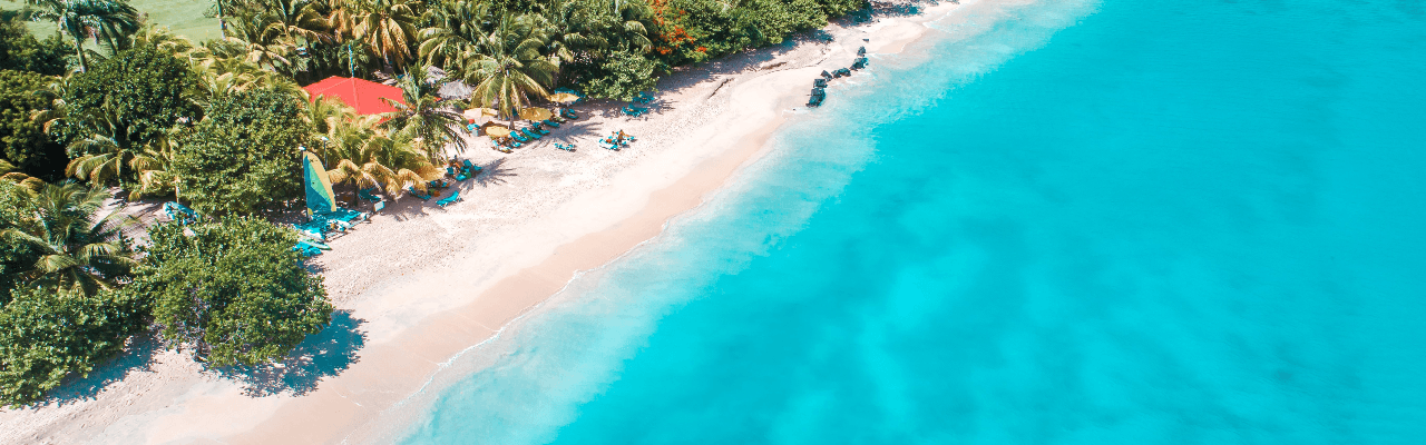 CS Global Partners | Government Citizenship Solutions