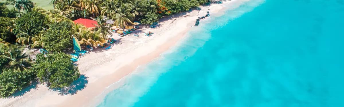 CS Global Partners | Government Citizenship Solutions