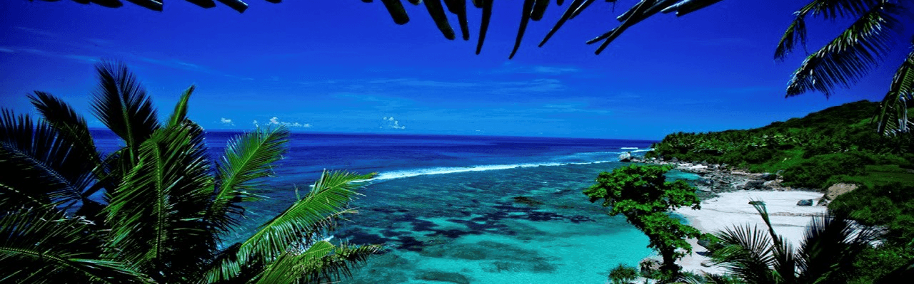 Grapevine | Private Members' Club