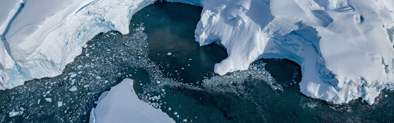 Pelorus | Travel Agency