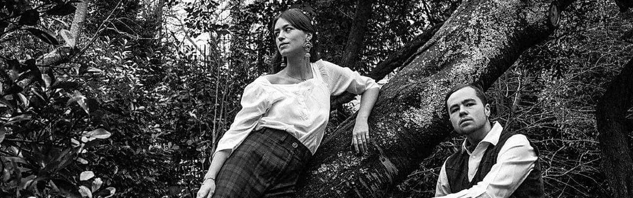 The Pink Piglet Collection